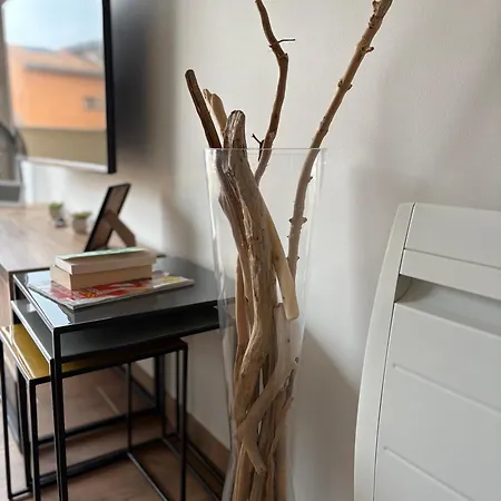 Vivez Hossegor Cote Capbreton