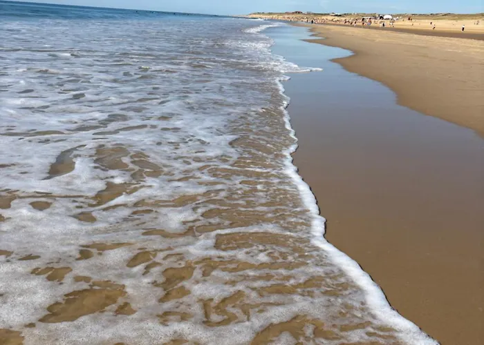 Daire Vivez Hossegor Cote *