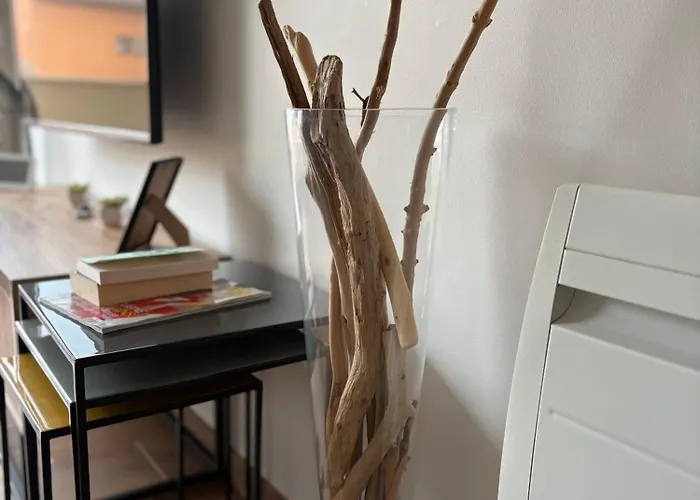 Vivez Hossegor Cote Capbreton