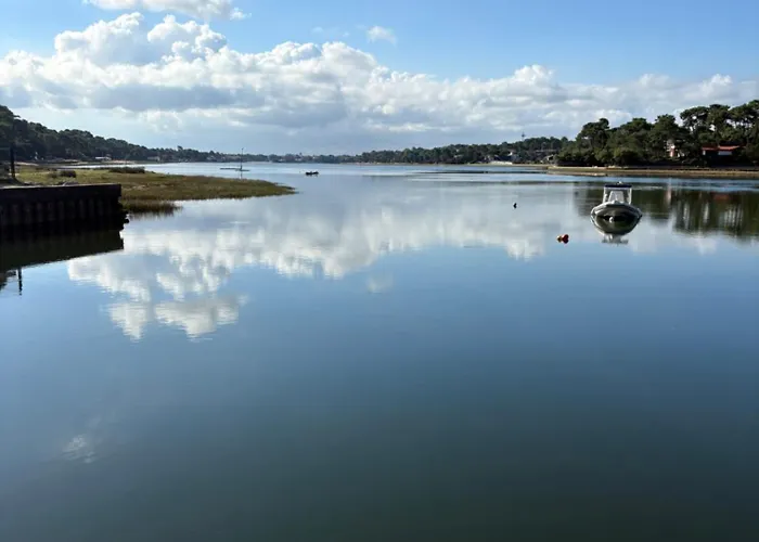 Vivez Hossegor Cote Daire *